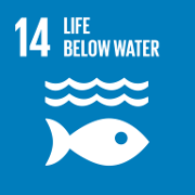 Icon for 'Life below water' goal